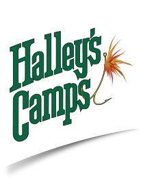 Halley’s Camps